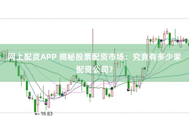 网上配资APP 揭秘股票配资市场：究竟有多少家配资公司？