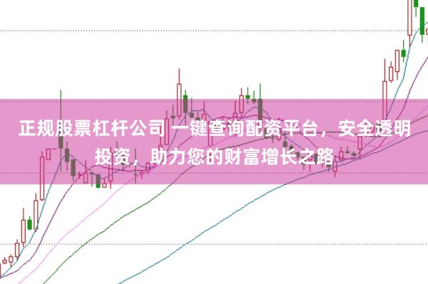 正规股票杠杆公司 一键查询配资平台，安全透明投资，助力您的财富增长之路