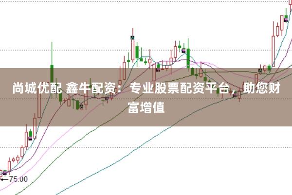 尚城优配 鑫牛配资：专业股票配资平台，助您财富增值